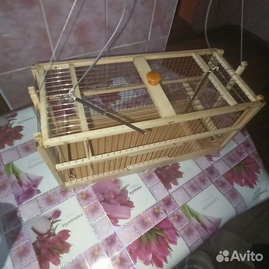 Клетки для певчих птиц