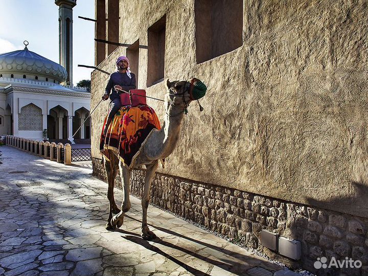 Экскурсия — Дубай — Дубай— украшение Персидского з