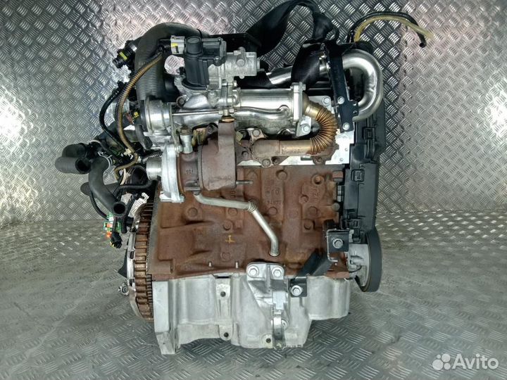 Двигатель в сборе Renault Kangoo 2008 K9K800 1.5 д