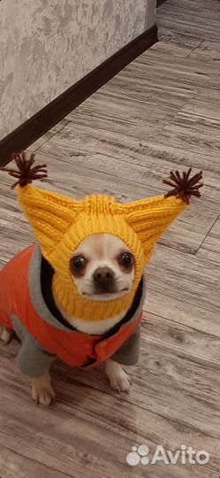 Одежда для маленьких собак