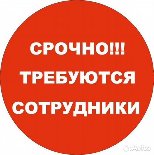 Дневная подработка с ежедневными выплатами