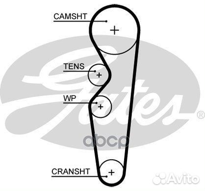 Зубчатый ремень привода грм PowerGrip 5665XS G