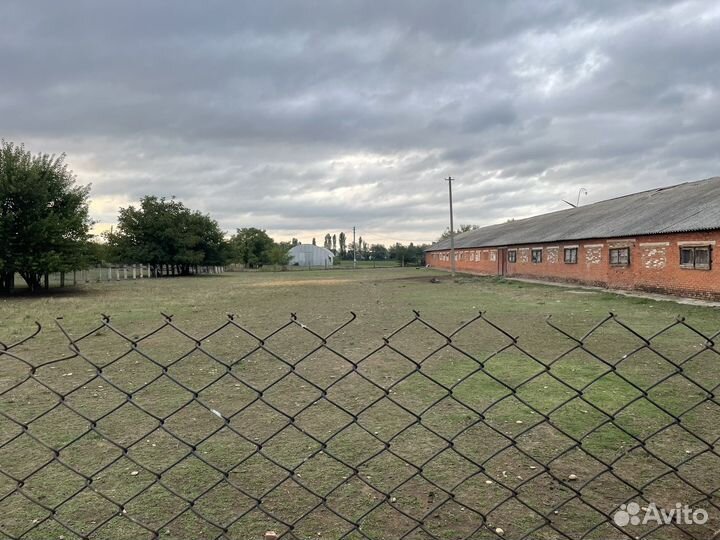 Ферма действующая