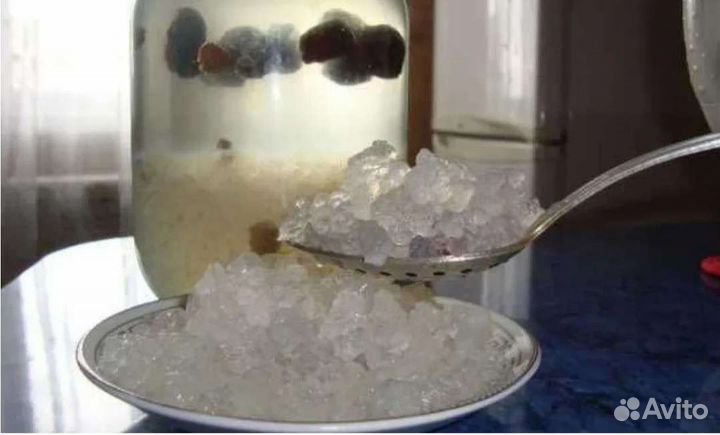 Индийский морской рис
