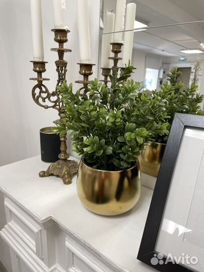 Искусственные цветы в горшках hoff