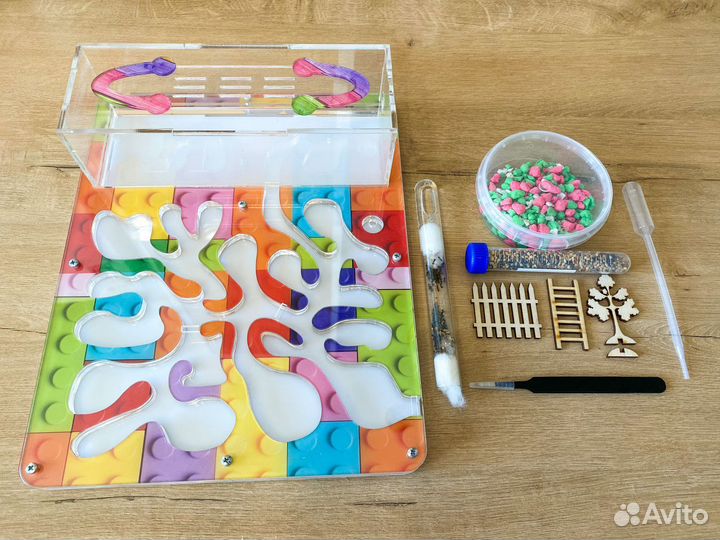 Муравьиная ферма 