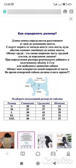 Одежда для средних пород собак