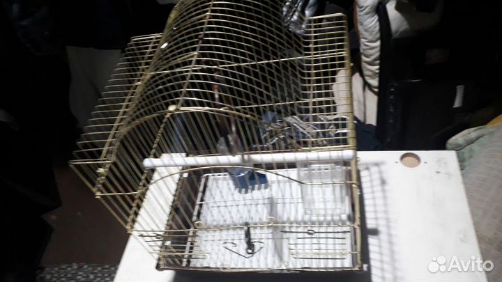 Клетка для попугая