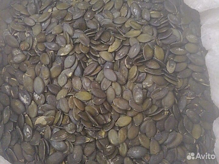 Семена тыквы очищенные Краснодарский край