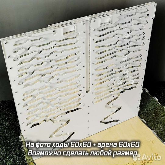 Не игрушечные Муравьиные фермы