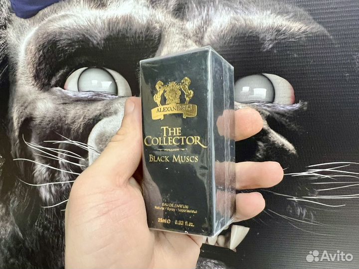 Alexandre j black muscs