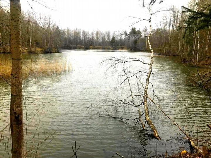 Участок 2,3 га (промназначения)