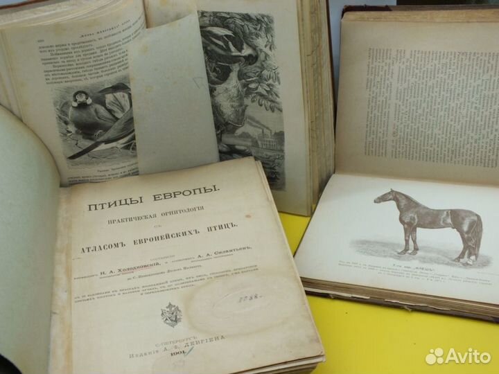 Книги Мир Природы