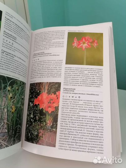 Иллюстрированная энциклопедия Луковичные растения