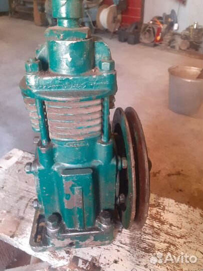 Для маз зубренок