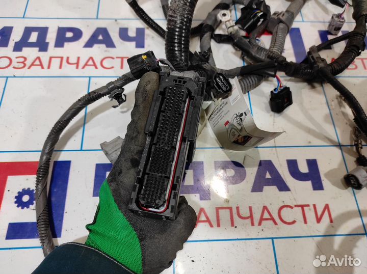 Проводка (коса) моторная Toyota Corolla E18 821210