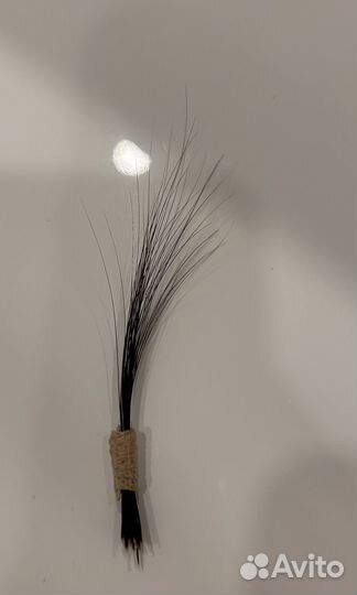 Кошачьи усы