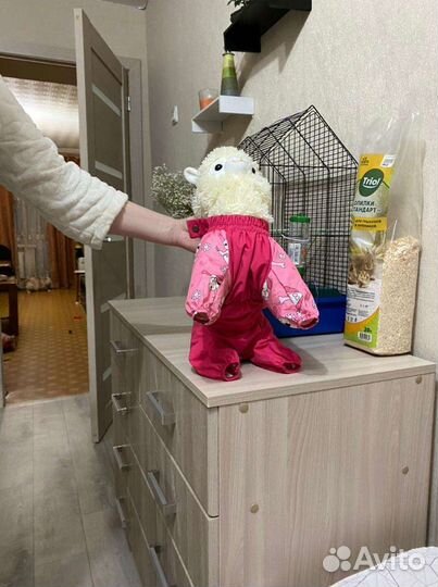 Комбинезон для маленькой собаки