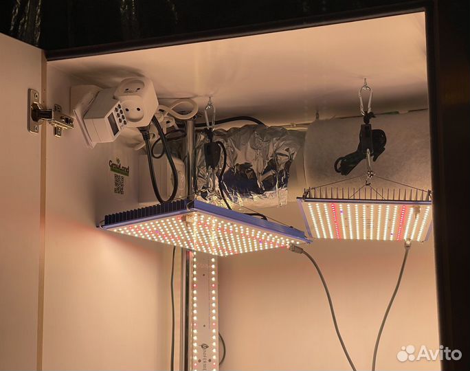 Гроубокс 150х60х60