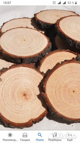 Продам спилы деревьев
