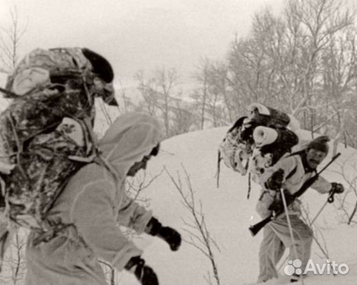 Рюкзак армии Норвегии