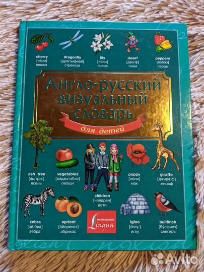 Англо-русский визуальный словарь