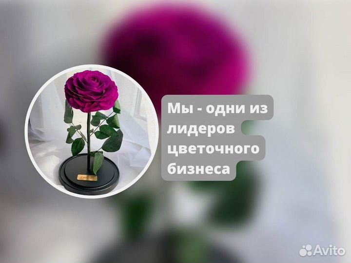 Розы в колбе любые