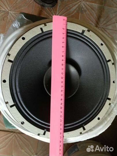 Динамики новые