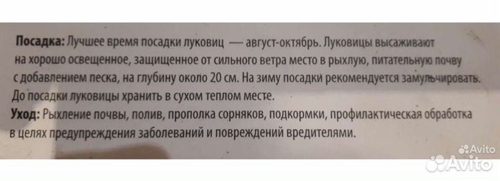 Рябчик императорский