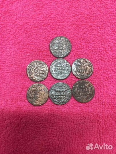 Полушка 1731, 1734, 1735, 1736г