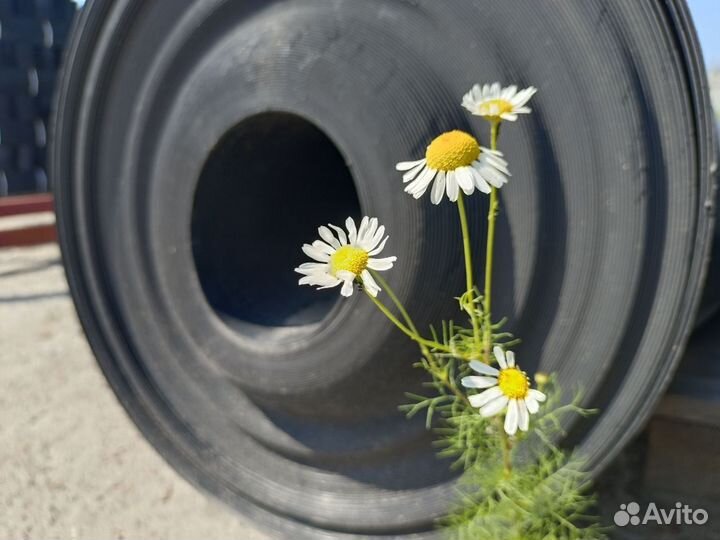 Геомембрана Pascal