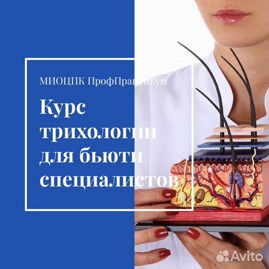 Курс обучения эстетической трихология