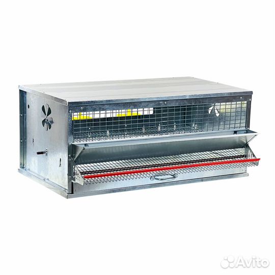 Клетка для содержания перепелов на 30 голов