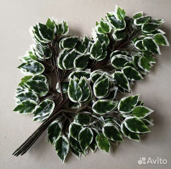 Ветки искусственные фикуса