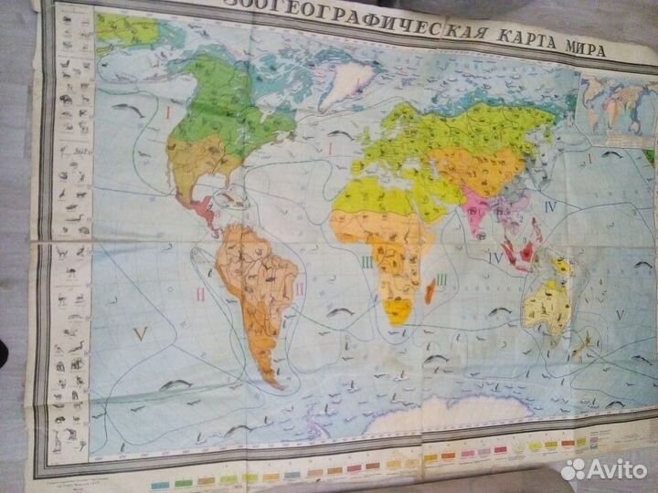 Зоогеографическая карта мира