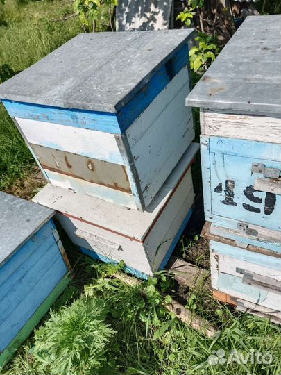 Улей для пчел бу