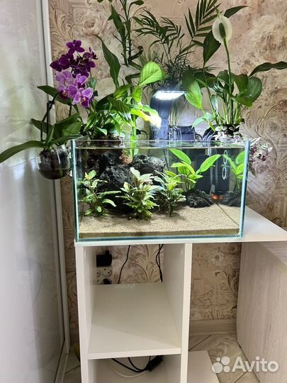 Дизайн и оформление аквариума