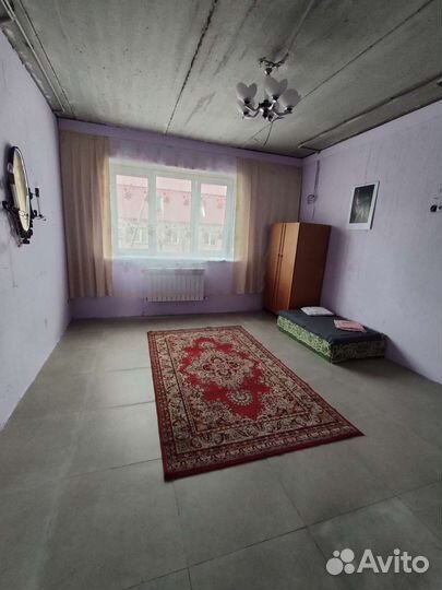 Домашняя передержка собак