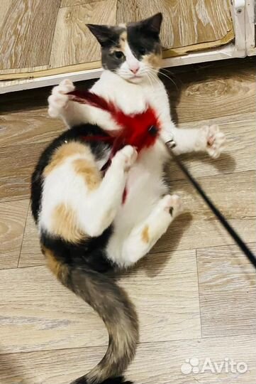 Заметьте меня пожалуйста не кому не нужна