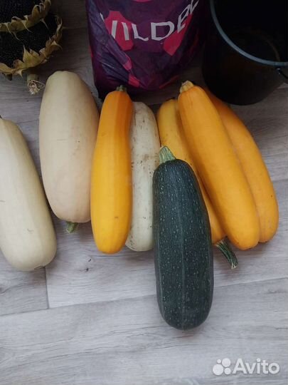 Кабачки свежие много