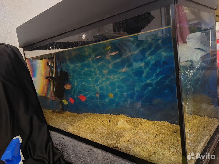 Аквариум на 60 литров