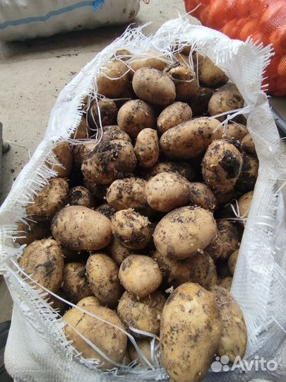 Овощи и фрукты с доставкой