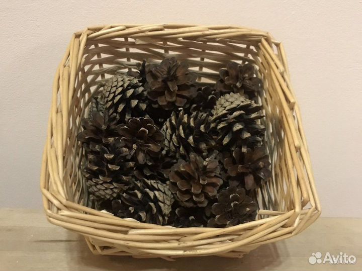 Шишки сосновые 140 штук