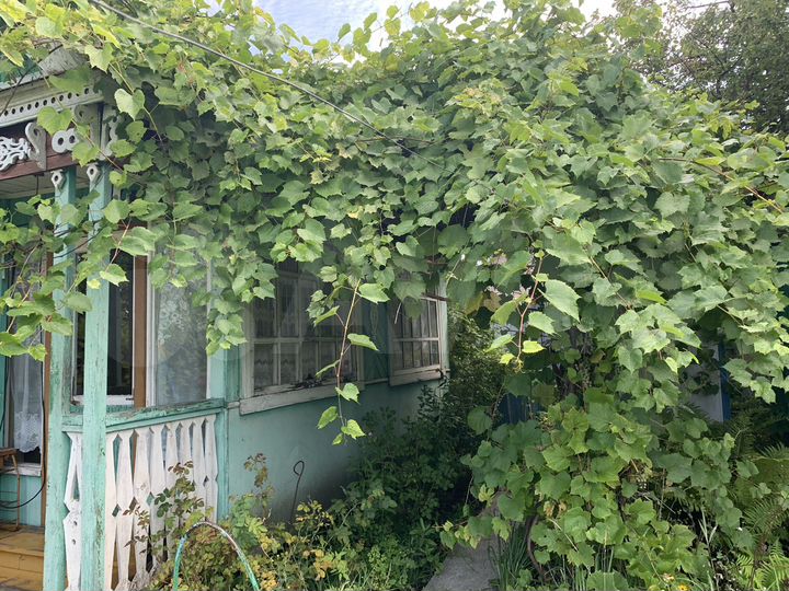 Дача 38,7 м² на участке 7,5 сот.