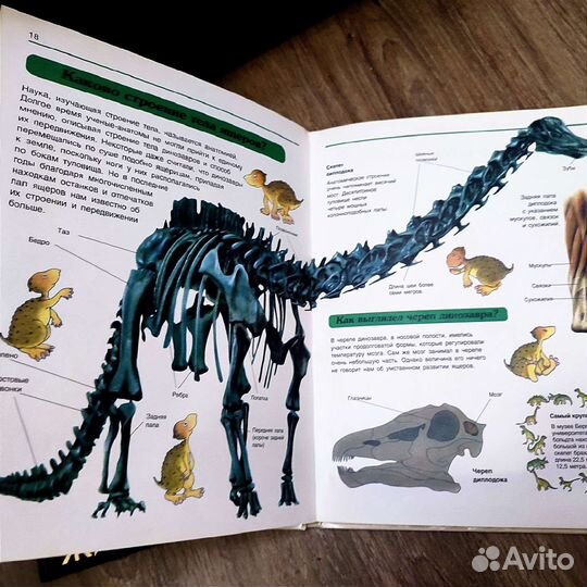 Познавательные книги про Динозавров