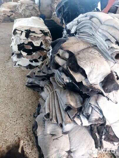 Шкурки овечьи оптом