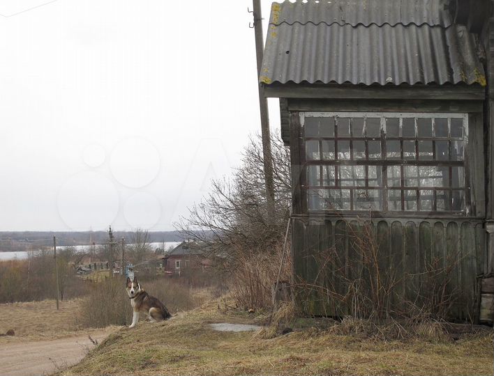 Дом 50 м² на участке 50 сот.