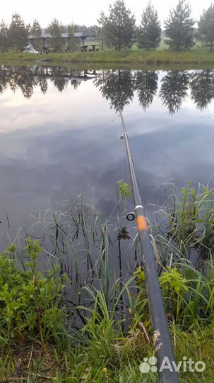 Платная рыбалка, отдых