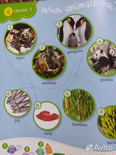 Учебник английского языка Learning Stars 2