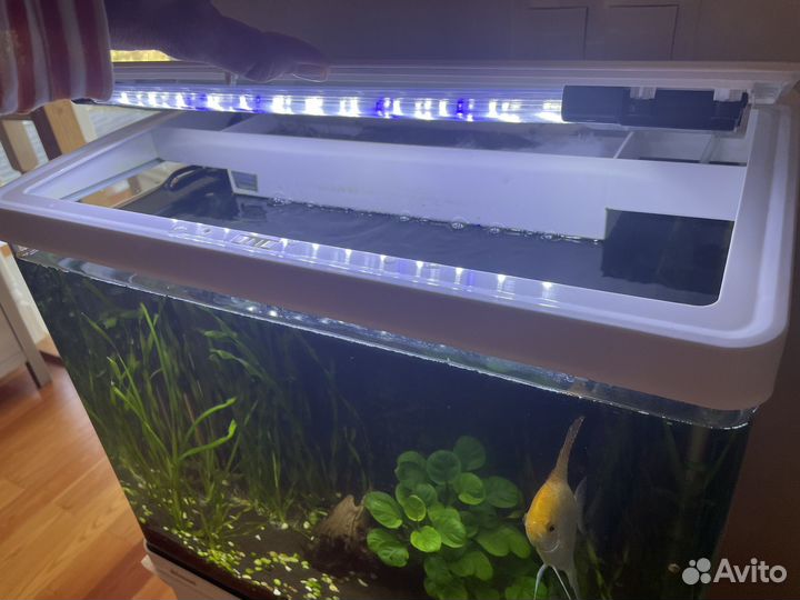 Аквариум с тумбой